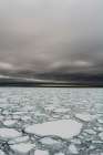 Melting Arctic sea ice North polar ice cap-Arctic Ocean Art Print